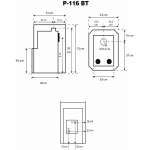 P 116 BT eskiis