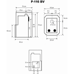 P 116 BV eskiis