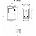 P 120 BV eskiis