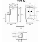 P 216 BV eskiis