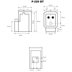 Wood-burning sauna heater P-220 BT with a water tank connection back - Image 5