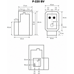 P 220 BV eskiis