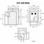 STY 220 BVGL eskiis