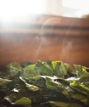 millega sauna kütta